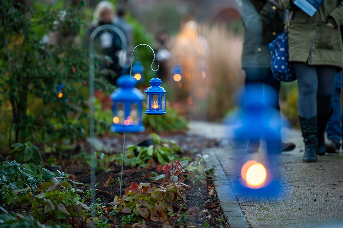 Light Up A Life | Remember A Loved One With St Gemma's Hospice